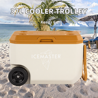 Glacière pour aliments 38L beige OEM avec poignée PP PE PU Chariot pour jus à bas prix 37L Carry Cooler Box