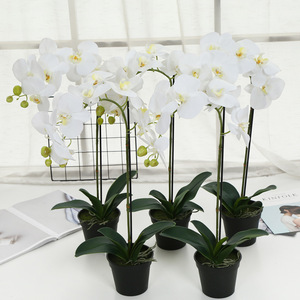 B0042 Flores <span class=keywords><strong>de</strong></span> Orquídeas Artificiales al por Mayor, Plantas <span class=keywords><strong>de</strong></span> Orquídeas Tailandesas, Plantas <span class=keywords><strong>de</strong></span> Flores Artificiales, Orquídeas Phalaenopsis Decorativas Hechas a Mano - Product Image 1