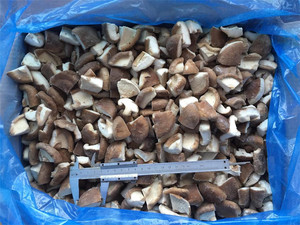 Chất lượng tốt nhất cho nóng bán số lượng lớn đông lạnh nấm <span class=keywords><strong>Shiitake</strong></span> thương mại nấm <span class=keywords><strong>Shiitake</strong></span> toàn bộ cho nhà hàng 2-4cm/4-6cm - Product Image 2