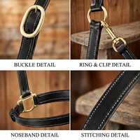 Harnais de cheval en cuir haut de gamme, modèle DI'LH'020, fabricant OEM d'Uttar Pradesh, Inde, Divine International
