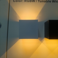 Projecteur de jardin BENORY DC24V à lumière blanche réglable 2000K-6000K, étanche IP65, intelligent PWM KNX DALI, dimmable, éclairage mural haut et bas