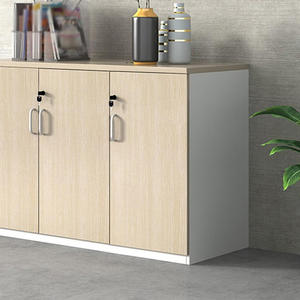 Workspace Friendly Office File <b>Cabinet</b> Shelf Designed For Convenient Document Access And Storage - Product Image 3