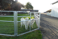 Panel de Cerca Modular Galvanizado y Soldado para Ganado con Puerta para Perros, Corderos y Animales Pequeños de Granja, 4 pies de Altura