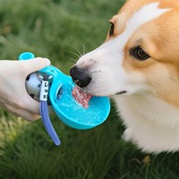 Nouvelle bouteille d'eau et bol isothermes portables pliables en acier inoxydable 304 écologiques pour chiens, 285 ml