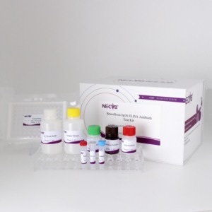 Wholesale Brucella bp26 Protein ELISA Antibody Detection <strong>Kit</strong> for Veterinary Diagnosis, High Sensitivity &amp; Specificity - Product Image 1
