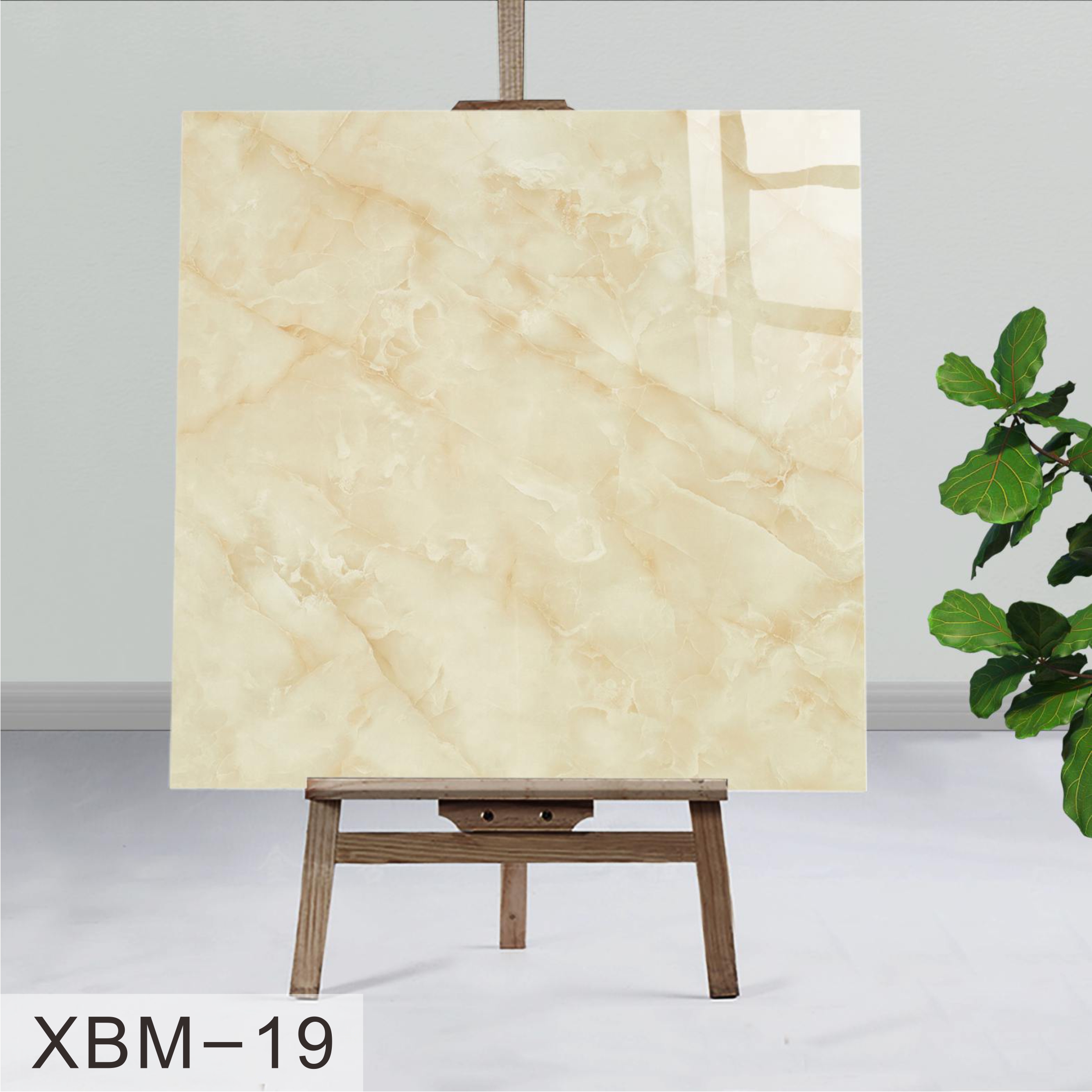 XMB-19