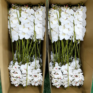 Vente en gros 50 Pcs 9 Têtes Real Touch Fleurs d'orchidées blanches Orchidées Phalaenopsis artificielles pour la décoration d'Halloween pour l'obtention du diplôme de mariage - Product Image 1