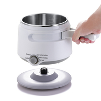 Vente en gros 304 pot portable en acier inoxydable de qualité alimentaire appareil de cuisine électrique multifonctionnel pour dortoir économiseur d'énergie