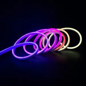 Custom Silicone Diffuser Addressable RGBIC Neon Strip Tube Flexible 5V 12V 24V Silicon RGB Neon Led Strip Lights