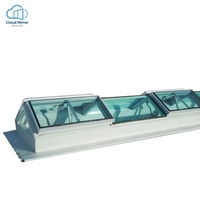 Puits de lumière électrique moderne pour toit, à commande à distance, sur mesure, non standard, pour escalier extérieur et sous-sol