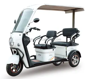 Tricycle électrique de passager de fonction de cargo de vélo de taxi pour adulte