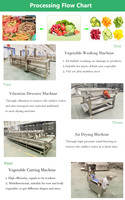 Automatische Groentewasverwerkingsmachine Dragon Fruit Avocado Sortering Wash Waxen Productielijn