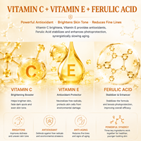 Sérum Visage Personnalisé à l'Acide Férulique, Vitamine C, Vitamine E, Hydratant, Antioxydant, Anti-Radicaux Libres, Taches Brunes, Marques d'Acné