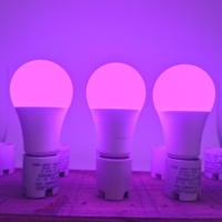 Ampoule LED rouge et bleue pour plantes d'intérieur, dimmable, sans scintillement, E26 120V, petite lampe pour plantes d'intérieur, succulentes, orchidées