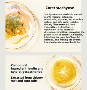 สตาชโยส 80% สารให้ความหวานเกรดอาหาร บิฟิดัส แฟคเตอร์ ไฟเบอร์สูง พรีไบโอติก โอลิโกแซ็กคาไรด์ 42 กรัม กล่อง - Product Image 4
