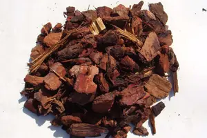 Pine Bark Extract Powder Pine Bark Extract