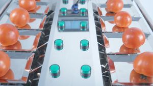 Hướng dẫn sử dụng kết hợp định lượng cho trái cây xoài nho cà chua nặng máy - Product Image 3