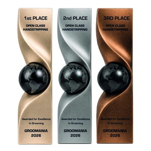 Nuevo Trofeo de Oro, Plata y Bronce, Medalla Personalizada Grabada, Trofeo de Cristal Negro en Forma de Tierra - Product Image 1