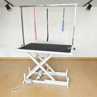 Table de toilettage professionnelle pour animaux de compagnie en acier inoxydable, fonction de levage électrique à 360 degrés, design pliable pour le toilettage des chiens