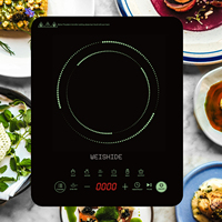 Table de cuisson à induction de haute qualité 1200W-2000W, plaque céramique à brûleur unique, boîtier électrique, affichage LED, portable pour camping-car, hollandais