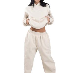 Fournisseur de sweat-shirts épais pour femmes, décontractés, unis, à manches longues, amples, hauts à enfiler, pulls pour femmes, automne-hiver - Product Image 3