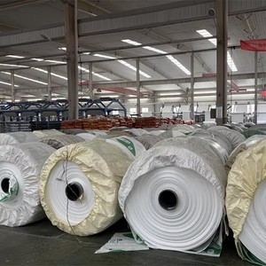 15Kg PP Woven Sack BOPP Film Lamination Full Color Print for <strong>Wild</strong> <strong>Bird</strong> <strong>Seed</strong> Sunflower Food Packing Bag - Product Image 4