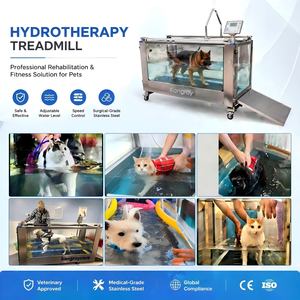 Cinta de correr subacuática eléctrica para perros grandes y gatos, para hidroterapia canina en clínicas veterinarias, a la venta - Product Image 4