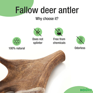 Jouet à mâcher pour chien en bois de cerf naturel écologique de qualité supérieure - Taille L - Longue durée - Nettoyage des dents - Pour chiens agressifs - Product Image 4