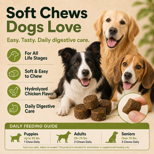 OEM ODM Masticables Blandos Probióticos para Perros a Base <span class=keywords><strong>de</strong></span> Esporas, 8 Cepas, Prebióticos, Salud Intestinal, Suplemento Digestivo e Inmunitario, Pollo Hidrolizado - Product Image 6