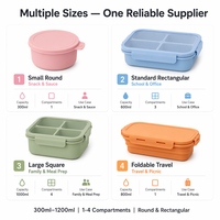 Boîte à bento en silicone de qualité alimentaire à compartiments, directement de l'usine, faible MOQ, support du dropshipping