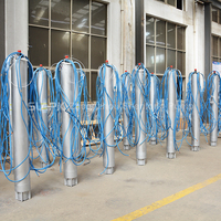 Pompe à eau submersible OEM en acier inoxydable, moteur triphasé, tension et débit/tête personnalisables pour applications de refroidissement industriel
