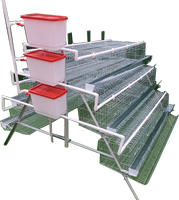 Mozambique 160 oiseaux couche poulet cage/batterie cage pour poule cage oeuf production ferme avicole