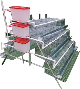 Mozambique 160 oiseaux couche poulet cage/batterie cage pour poule cage oeuf production ferme avicole - Product Image 2