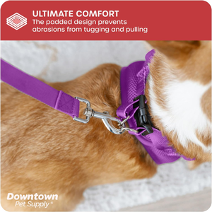 Adjustable <strong>Cat</strong> <strong>Harness</strong> with Padded Mesh Fabric and Reflective Trim Buckle Strap <strong>Harness</strong> for Dogs - Product Image 6