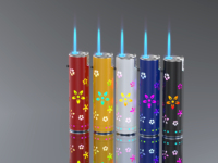 Nouveau briquet jetable en plastique et métal, briquet pas cher, coupe-vent