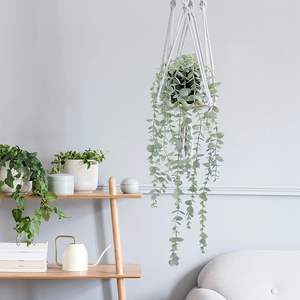 <span class=keywords><strong>Plantes</strong></span> artificielles d'eucalyptus suspendues GM, fausse plante en pot fausse plante tombante pour mur chambre maison patio intérieur extérieur décoration - Product Image 3