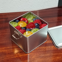 Boîte à biscuits en métal avec serrure, boîte en étain de qualité alimentaire, boîte en étain rectangulaire de grande taille pour tiramisu cuit, boîte en étain auto-scellante