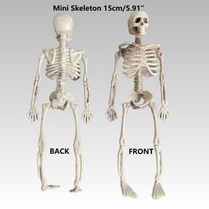 Mini Scheletro in Plastica per Decorazioni <span class=keywords><strong>di</strong></span> <span class=keywords><strong>Halloween</strong></span>, Modello Realistico <span class=keywords><strong>di</strong></span> Teschio <span class=keywords><strong>da</strong></span> 15cm per Appendere, Decorazioni per Feste, Accessori Didattici - Product Image 4