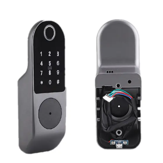 Front Entry Auto Door Lock Alarms System Keypad 2022 Biometric Finger Print with Key 5 in 1