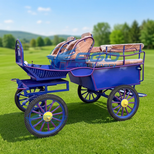 Venta Directa de Fábrica: Carroza de Caballos de 4 Ruedas para Turismo y Maratones, Carroza de Transporte en Venta - Product Image 1