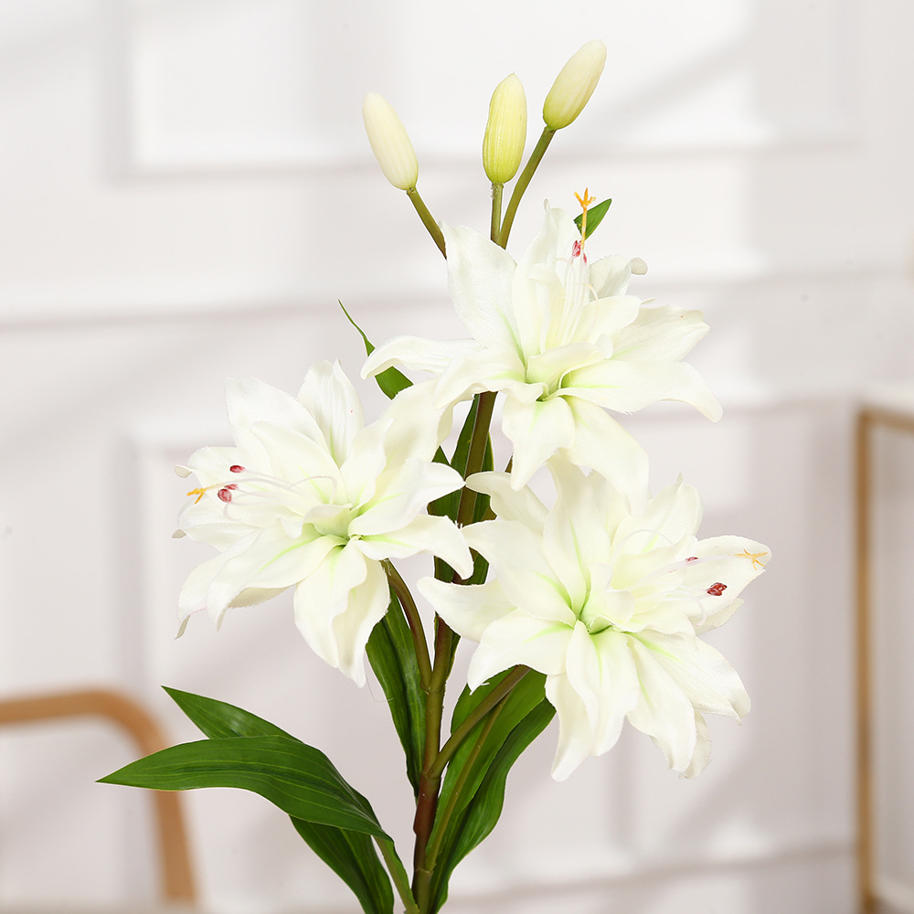 Blanc
