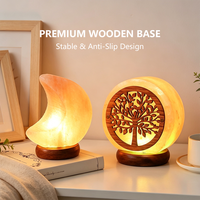 Lampe en sel rose de l'Himalaya naturel en gros, lampe en sel de cristal de roche avec base en bois, décoration pour la maison et la chambre, veilleuse, OEM disponible