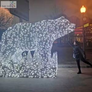 Luces LED 3D Personalizables con Forma de Oso, IP65, Todos los Tamaños, para Decoración Navideña y Festiva de Exteriores - Product Image 3