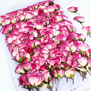 <span class=keywords><strong>Rose</strong></span> Rosa Essiccate con Stelo, Boccioli di Rosa Veri per Regalo di San Valentino, Decorazioni Fai-da-Te - Product Image 5