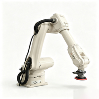 Brazo Robótico Automatizado para Lijado y Pulido, Robot Industrial Multifunción para Pulido de Superficies de Utensilios de Cocina y Ferretería