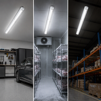 Lámpara LED Tri-proof de 40W IP66 para Chip, 4800LM, 120lm/W, 1.2m, para Almacenes, Certificación CE/CB, Garantía de 5 Años