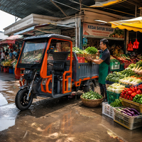 Tricycle électrique de fret 1500W pour adultes, moto électrique à trois roues avec auvent