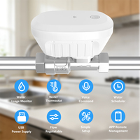 Vanne à boisseau sphérique électrique DN20 motorisée pour le contrôle du débit d'eau, avec réglage du débit, surveillance de la température et contrôle à distance par Wi-Fi