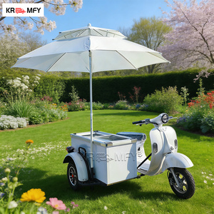 Bicicleta Eléctrica para Café, Triciclo Personalizable con Fibra de Vidrio para Cafetería Móvil, Carrito de Mano para Helados y Paletas Italianas - Product Image 3