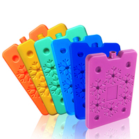 Mini glacière en plastique personnalisable, mignonne, isolée, pour la pêche alimentaire, pour les activités de plein air, couleur personnalisée, PP PE